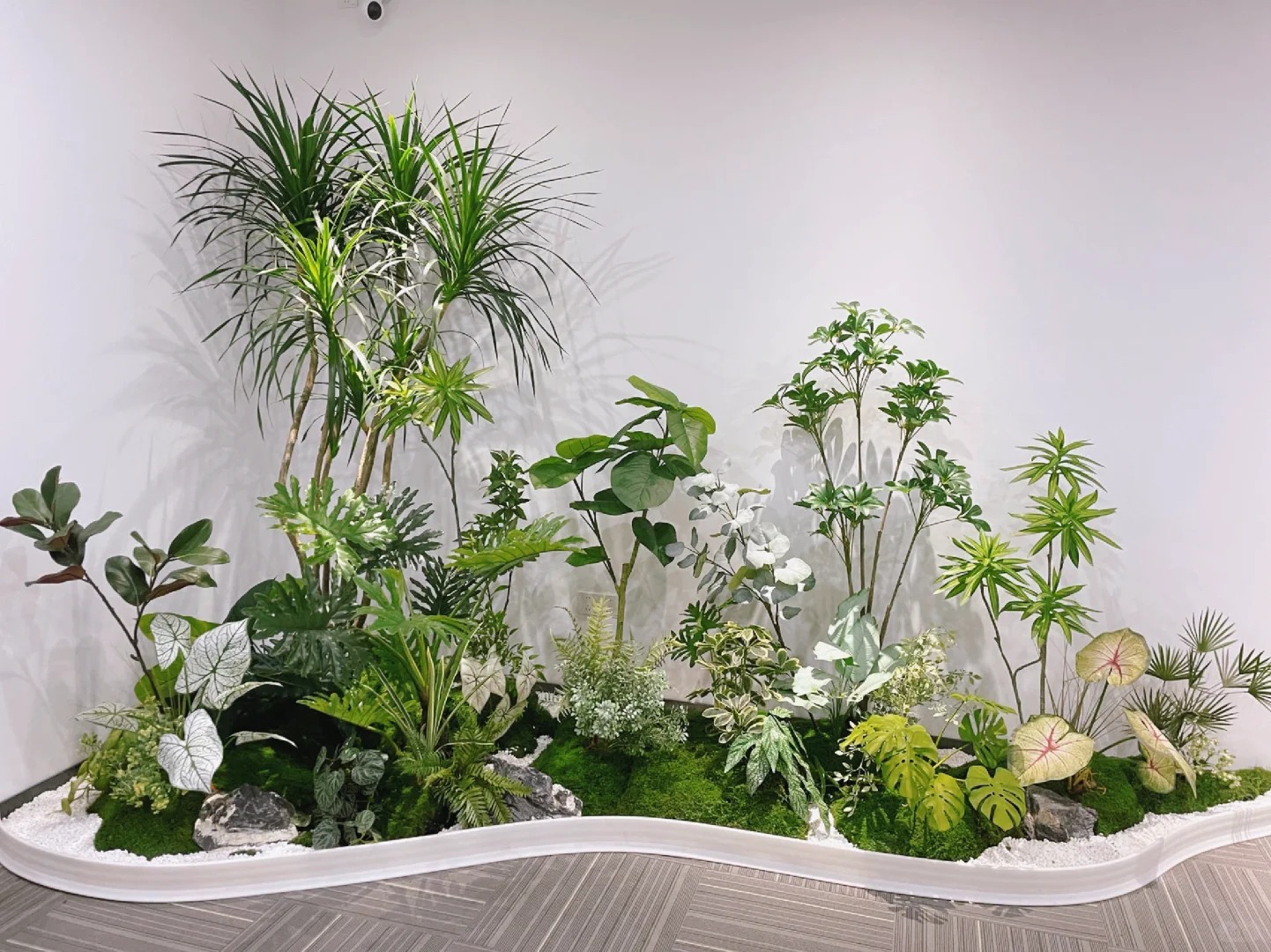 专业花木租赁，为宁波慈溪增添一抹绿韵